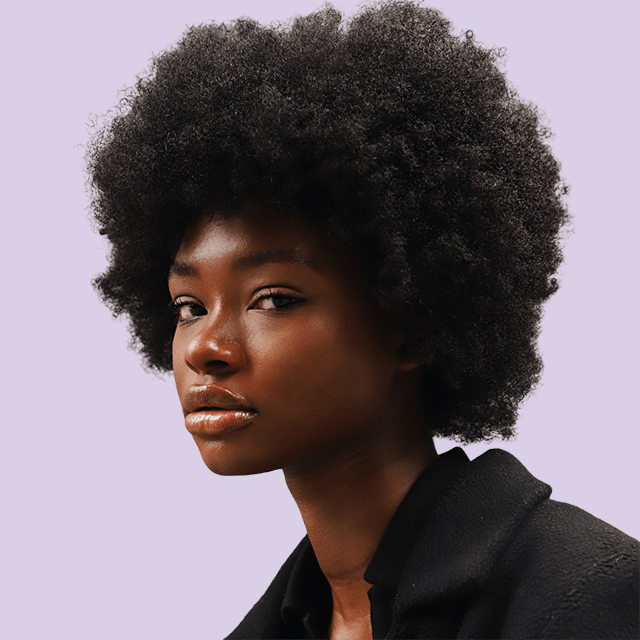 Spider Solution Gallery User